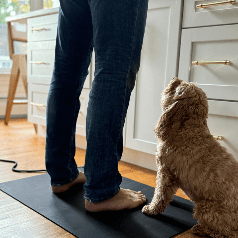 The Earthing Floor Mat in the kitchen